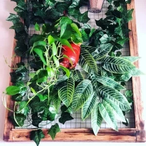 parodiabar decoracion plantas